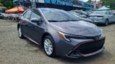 Corolla Hatchback SE